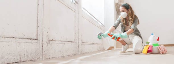 Mclouth, KS Mold Inspection, Removal & Remediation Company